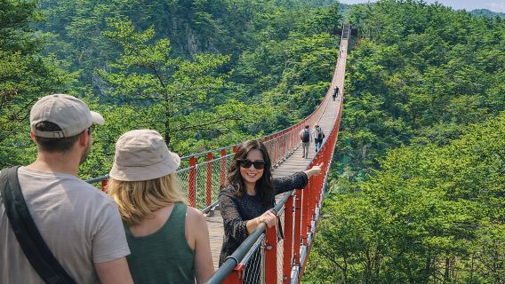 Private DMZ Tour (No Shopping): 3rd Tunnel & Suspension Bridge