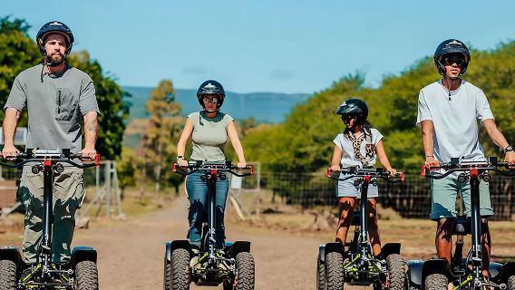 Excursión de un día con servicio de coche privado con conductor en el Parque Natural de Casela en Mauricio