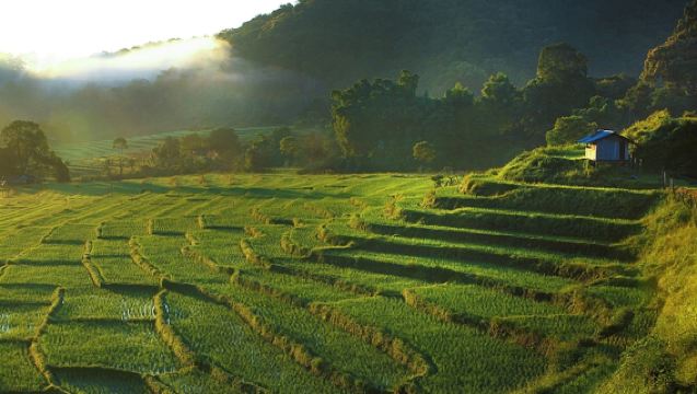 Full Day Chiang Mai: Doi Inthanon Highest Peak, Pha Dok Siew Waterfall & 2-Hour Trekking