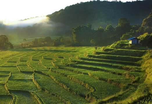 Full Day Chiang Mai: Doi Inthanon Highest Peak, Pha Dok Siew Waterfall & 2-Hour Trekking