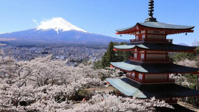 [9인 그룹/호텔 픽업] 도쿄: 가와구치 호수, 야마나카 호수, 아라쿠라야마, 로손