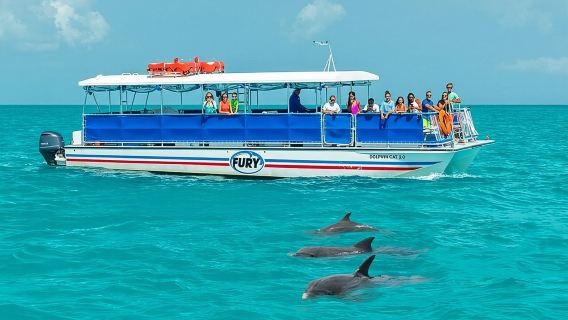 Key West Dolphin Watch and Snorkel Tour - Eco Adventure