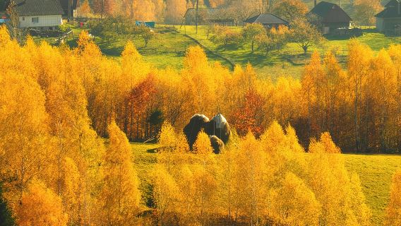 Small-Group Day Trip in Romanian Authentic Mountain Villages from Brasov