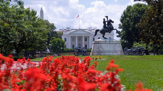 Washington, D.C. Highlights: Guided Bus Tour