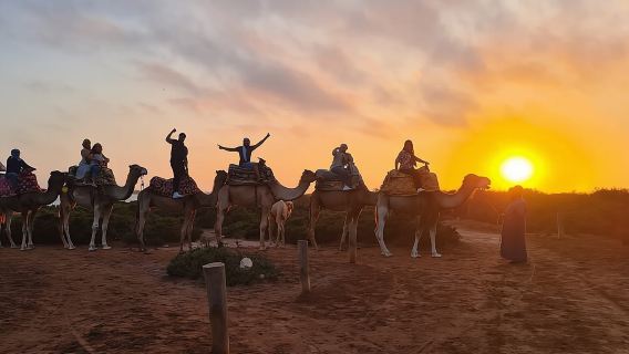 AgadirTours