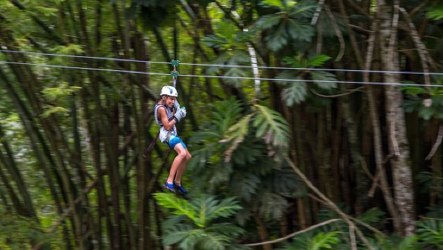 Guided Zipline and Island Gully Falls at White River