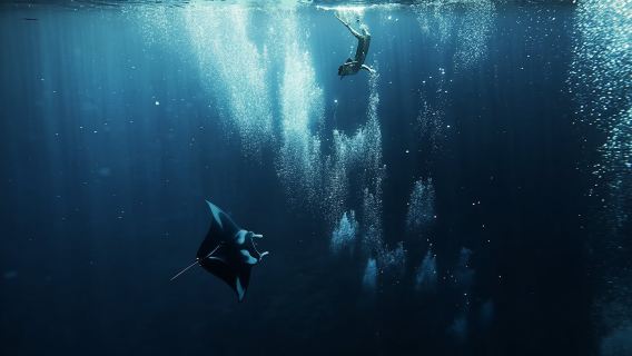 Lagoon small group snorkeling tour in Bora Bora