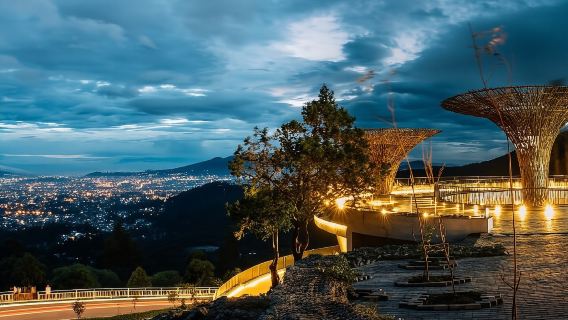 แอดดิสอาบาบาและจุดชมวิวภูเขาเอนโตโต พิพิธภัณฑ์พระราชวัง ทัวร์ตลาด