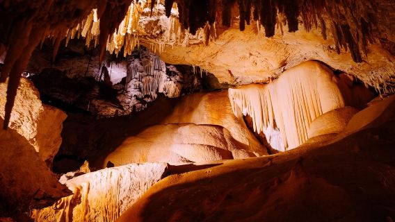 BusseltonTravel Services