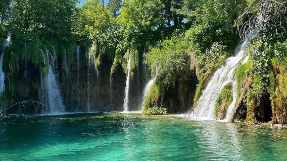 Escursione di un giorno ai laghi di Plitvice da Zara, semplice e sicura