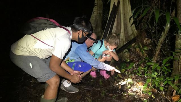 Manuel Antonio Jungle Night Tour with pick up included