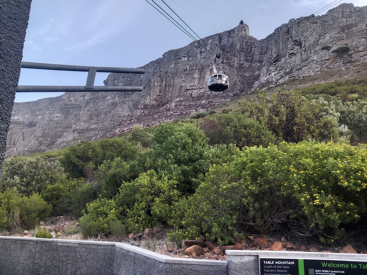 Table Mountain Cableway Express Entry Tour with Ticket