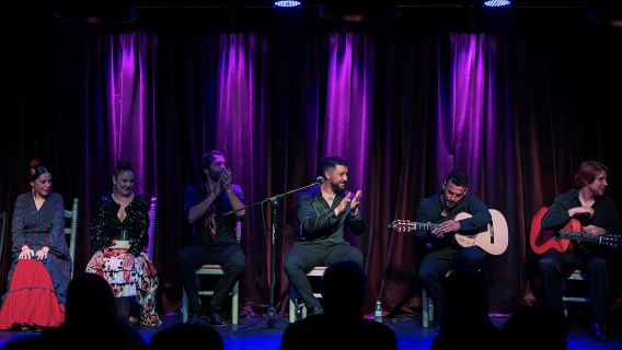 Alicante: Flamenco appassionato con cena di tapas nel porto