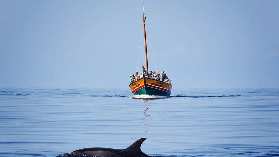 Madeira: Walbeobachtungsausflug auf einem traditionellen Schiff