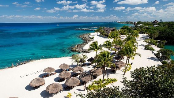Cozumel: Official Chankanaab Day Pass and Snorkel with Lunch