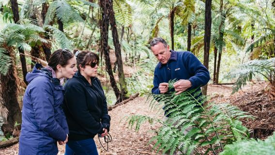 Rotorua: Explora los lagos (recorrido de medio día por la mañana)