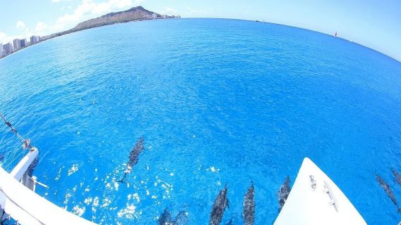 Oahu Hawaii: tour in barca a vela a Honolulu