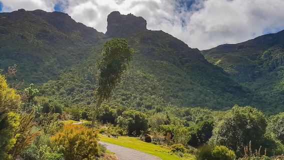 Tour privato: Table Mountain, Constantia Wine e Kirstenbosch