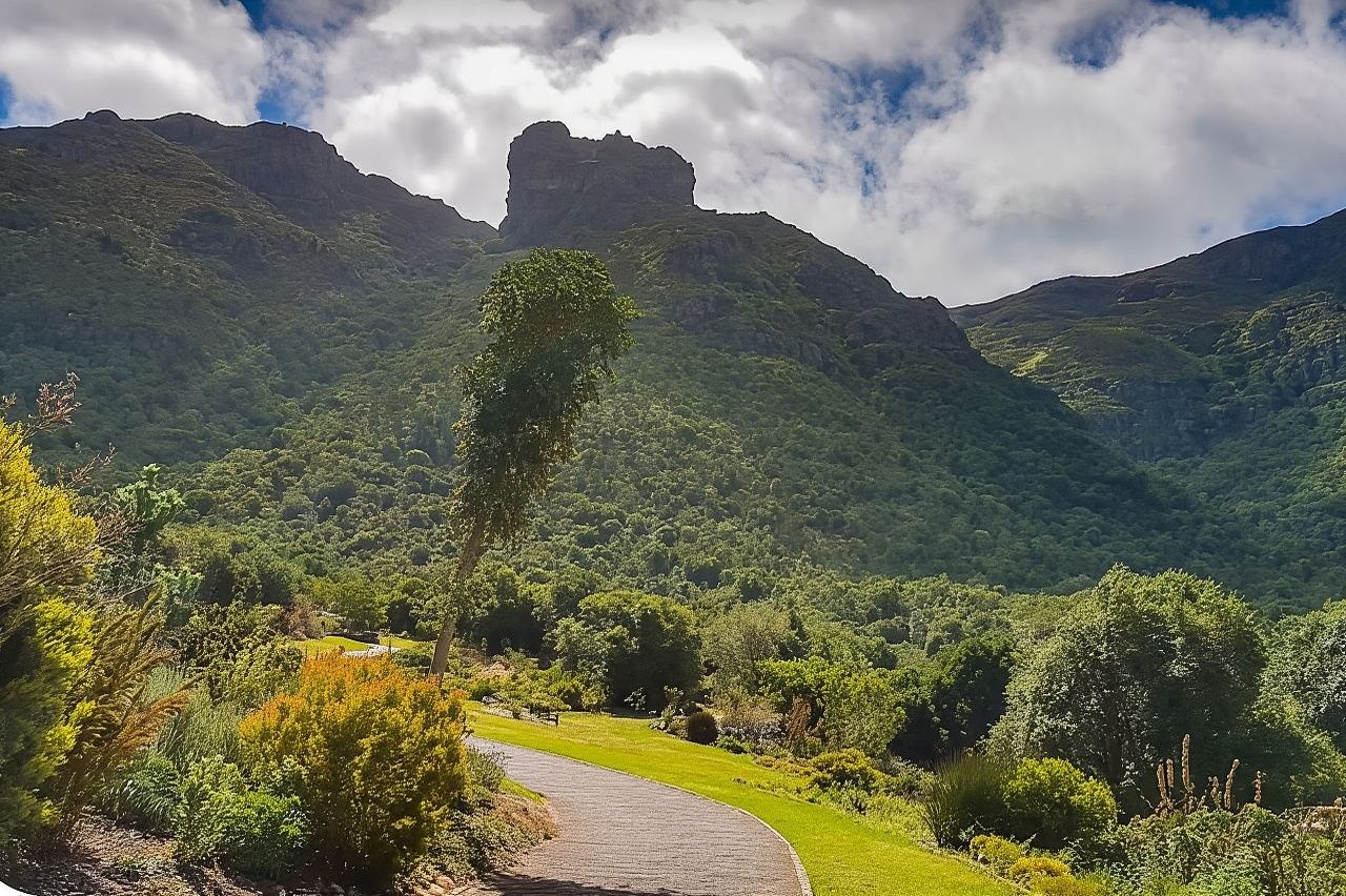 ทัวร์ส่วนตัว: Table Mountain, Constantia Wine และ Kirstenbosch