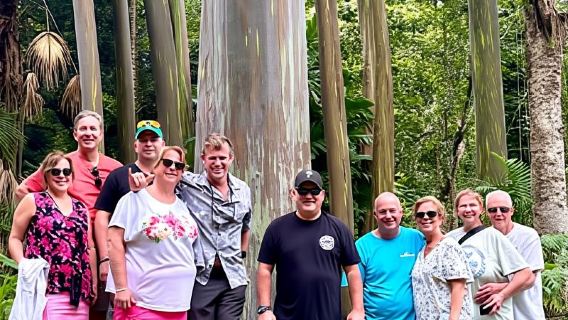 Maui: Cuộc phiêu lưu trong rừng nhiệt đới đến Hana kèm hình ảnh