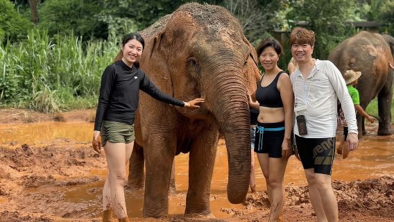 Chiang Mai: Doi Inthanon und Elefantenschutzgebiet-Tour