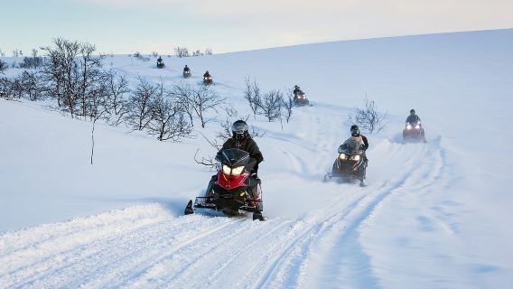 Alta: safari guidato in motoslitta sul Finnmarksvidda con snack