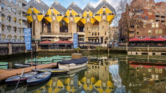 Paseo por Róterdam: lugares destacados, joyas, arquitectura y la Segunda Guerra Mundial|2 o 3 horas