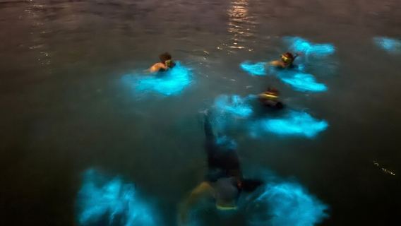 Grand Cayman – Tour durch die biolumineszierende Bucht