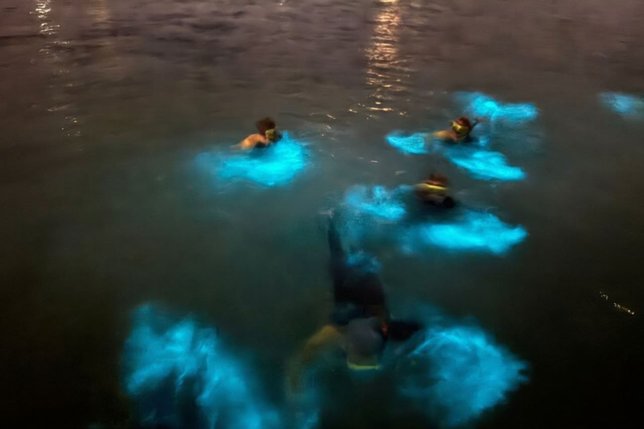 Grand Cayman - Tour della baia bioluminescente