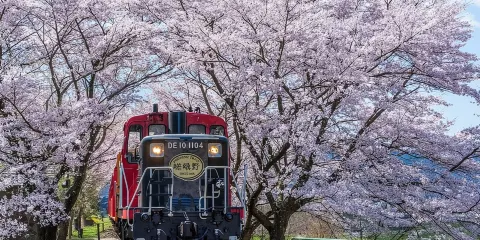京都保津川遊船嵯峨野浪漫火車之旅