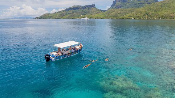 Día completo de snorkel en Bora Bora con comida incluida