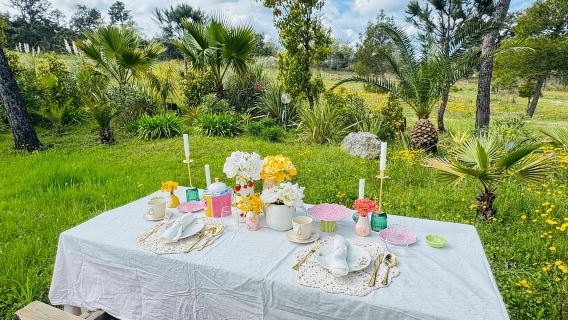 Gulf of Saint-Tropez: Picnic in a 5-hectare private garden