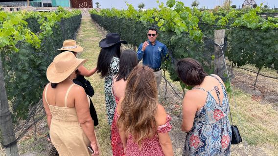 Local Vineyard Tour & Wine Tasting at the Independence Valley