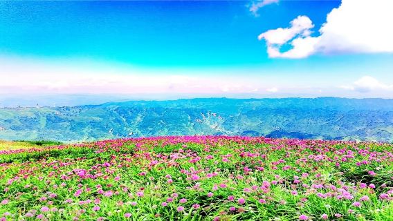 彝良日遊