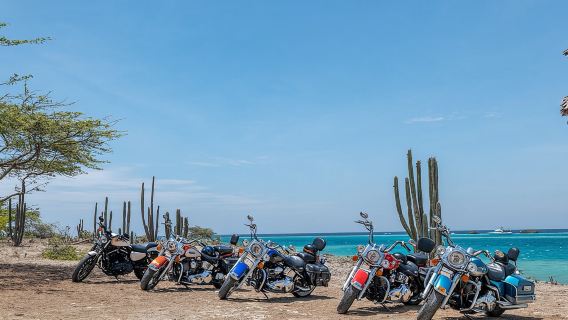 Harley-Davidson RENTALS ONLY 4 hrs