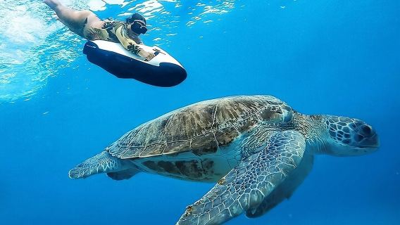 ให้เช่าเรือ Seabob ในกวาเดลูป