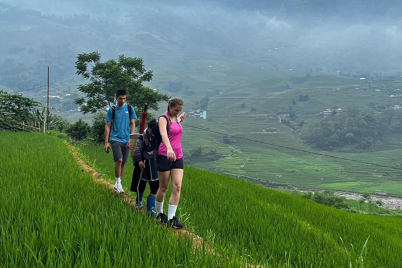 Tour giornaliero: trekking a Sapa nella valle di Muong Hoa, foresta di bambù