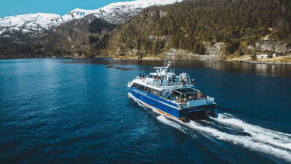 Showraumen Fjord Cruise - operator lokal