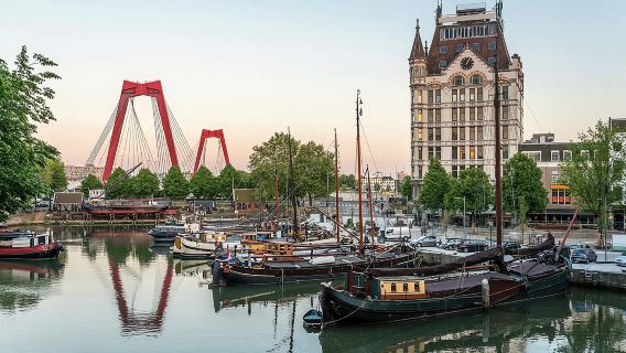 Rotterdam, Delft and The Hague Small Group Tour from Amsterdam