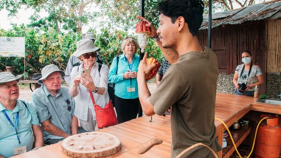 Tour del cacao e della gastronomia all'Hacienda CacaoyMango