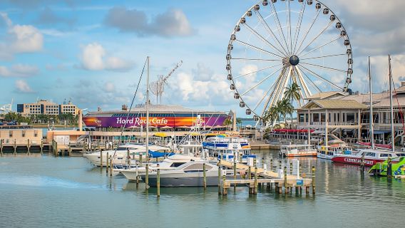 Miami 90-minute Biscayne Bay cruise with optional hop-on hop-off bus and Skyviews wheel