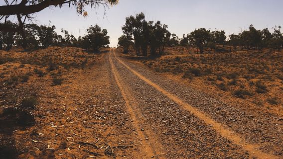 4x4 Tour to Souss-Massa National Park and Tiznit