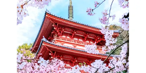 【櫻花季】日本京都古寺+萌鹿奈良公園+伏見稻荷大社一日遊