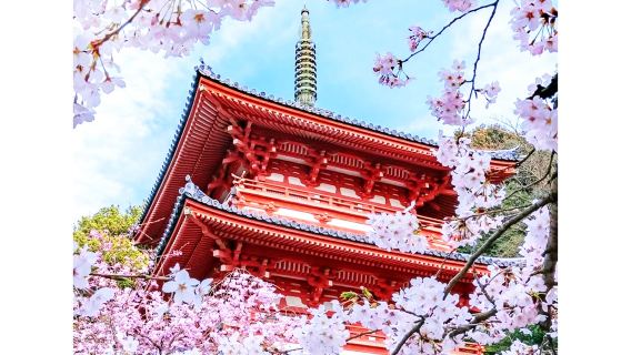 Excursión de un día a Kioto (Japón): Kiyomizu-dera, Ninenzaka y Sannenzaka, Parque de Nara y Fushimi Inari-Taisha