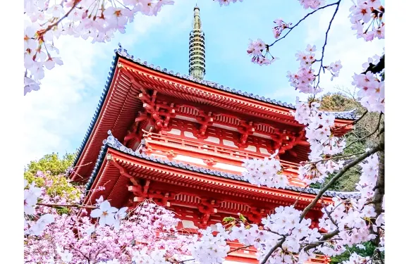 【櫻花季】日本京都古寺+萌鹿奈良公園+伏見稻荷大社一日遊