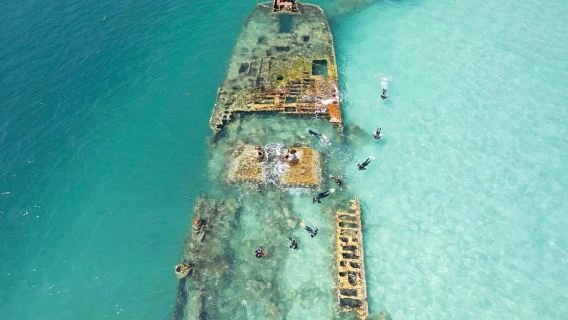 Brisbane, Moreton Island and Tangalooma Shipwreck one-day tour