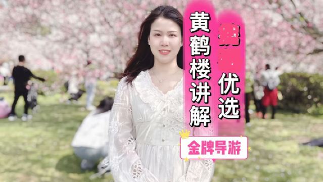 武漢黃鶴樓導遊【可拼團/可一對一服務帶您看長江天下水，登黃鶴天下樓】