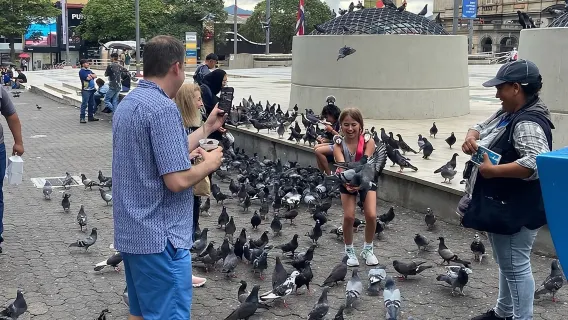 San Jose City Tour and central Market with local food 