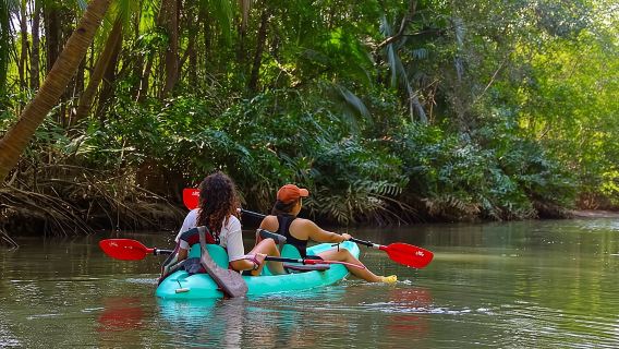 Paddeltour durchs Paradies: Kajakabenteuer in den Mangroven