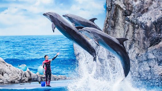 Bangkok Safari Park and Marine Park 1-day tour[Optional buffet lunch]